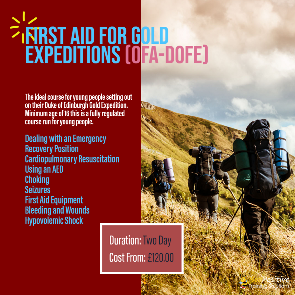 DofE Gold Expedition First Aid BeePositive Training Solutions